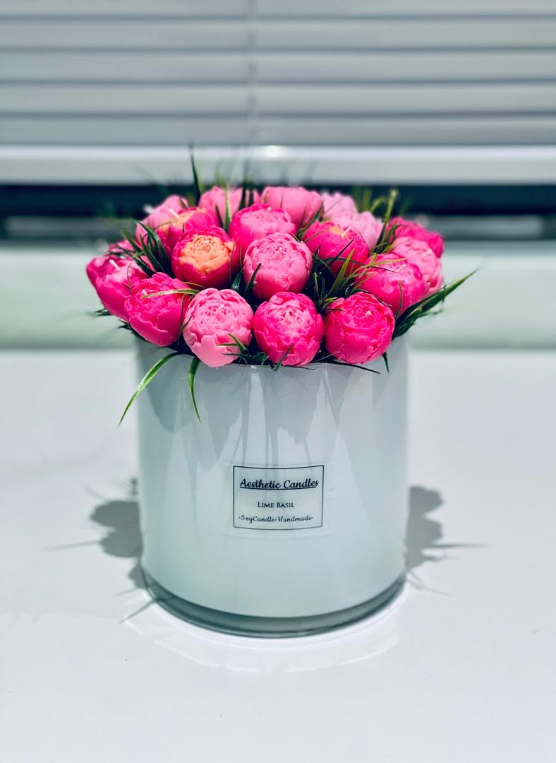 Vanilla Noir Planter